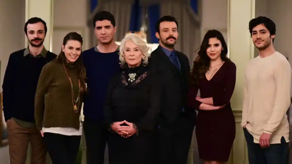 Istanbullu Gelin: Turkish drama to watch on Netflix